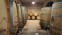 Stockinger Fässer vom Weingut Domaine Gauby